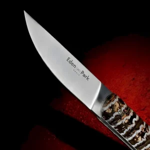 Couteau de poche avec manche en molaire de Mammouth beige