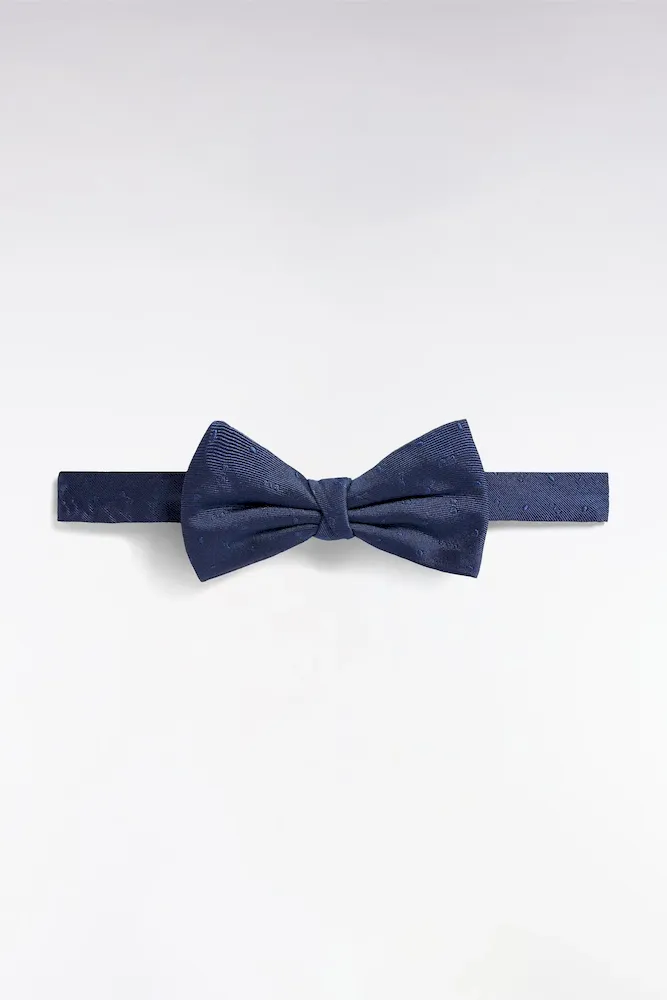 Noeud Papillon En Soie Bleu à Micromotifs