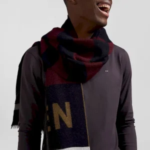 Alternative view of Echarpe cerclée bordeaux