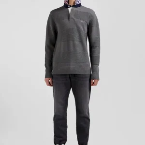 Pull col polo en coton gris anthracite coupe Regular