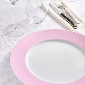 Lot de 6 grandes assiettes roses en porcelaine de Limoges