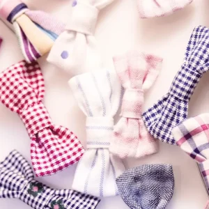 Broche noeud papillon